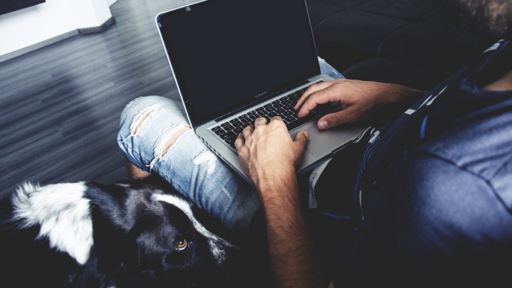 WooCommerce Nedir, Ne İşe Yarar?
